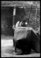 /album/photos/montage-51-jpg/
